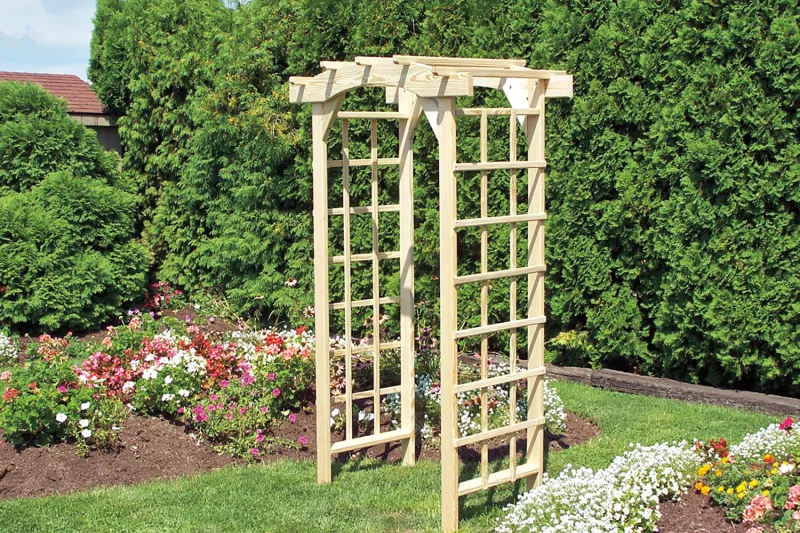 Arbor - Economy Round