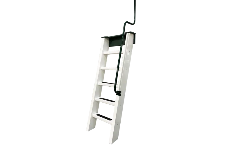 Entrance Ladder 
